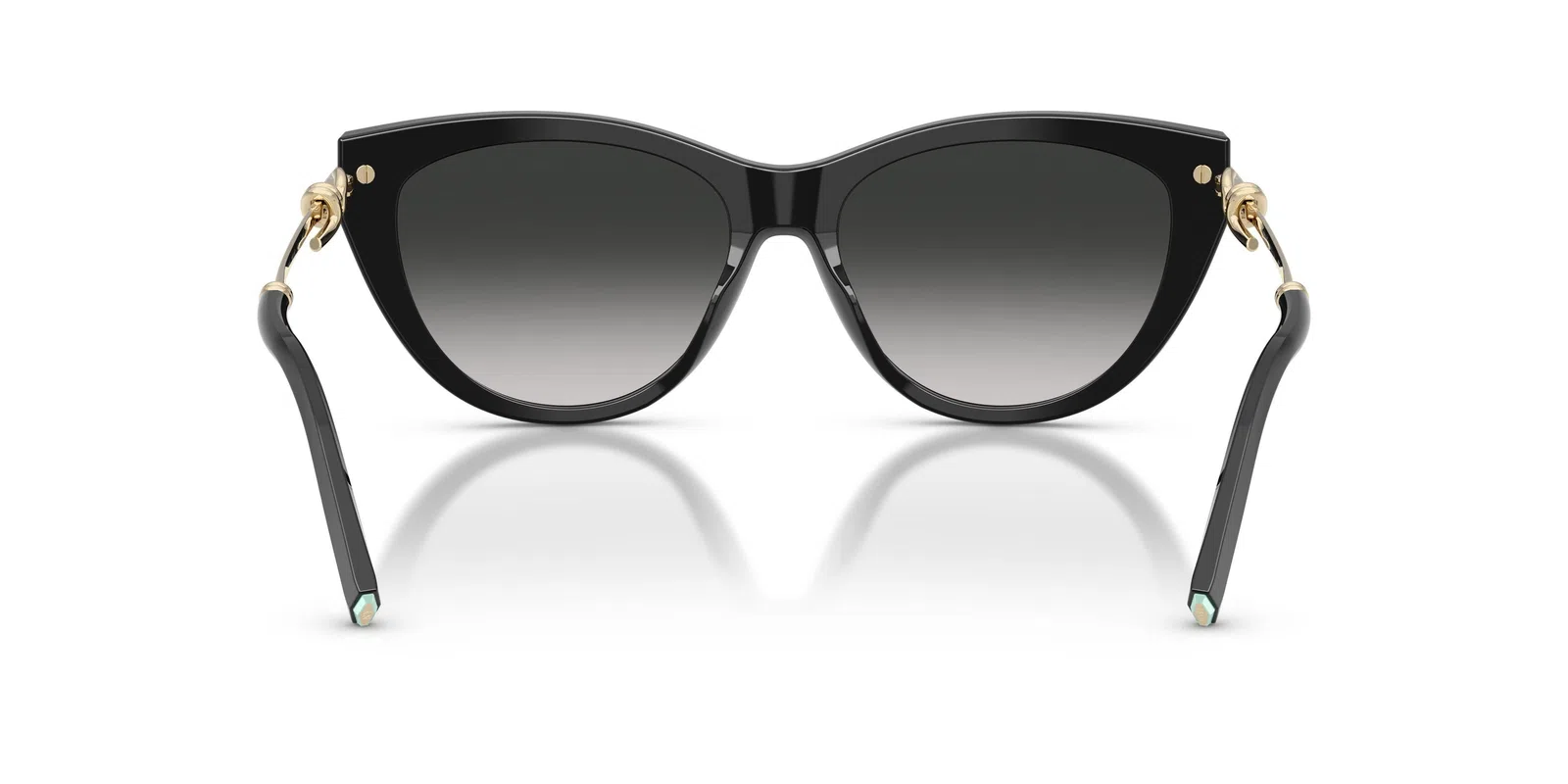 Tiffany 4253F Sunglasses - view 16
